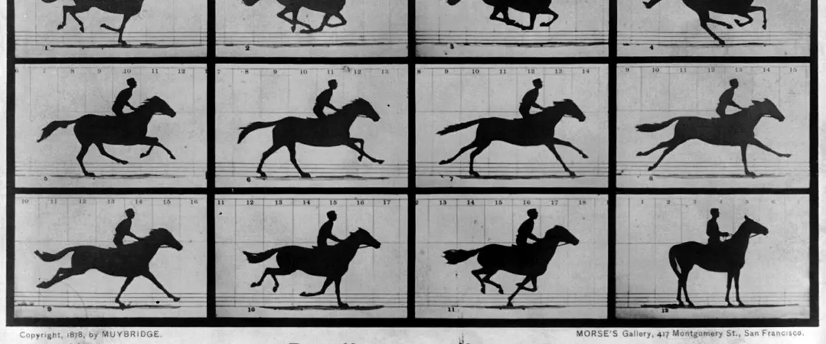The Horse in Motion